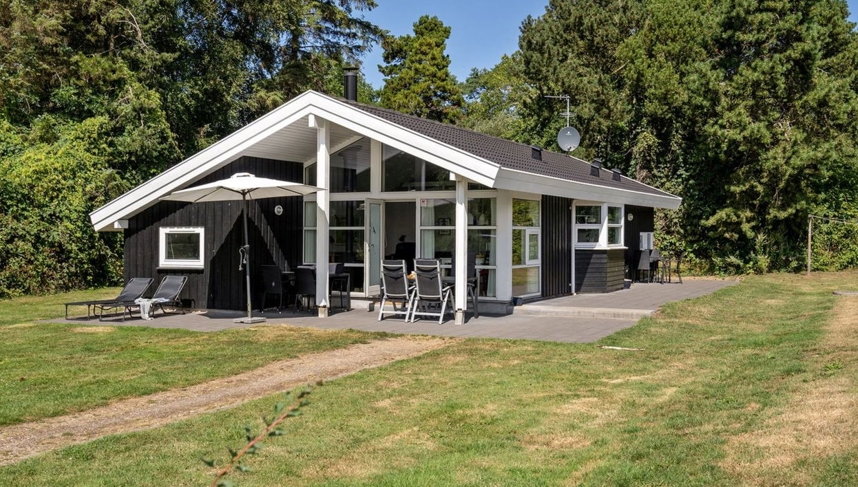 Maison de 3 chambres à Tranekær avec terrasse et sauna - Photo 1