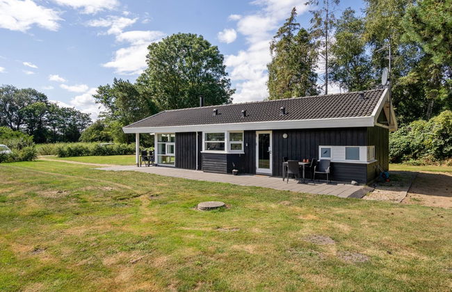 Maison de 3 chambres à Tranekær avec terrasse et sauna - Photo 6