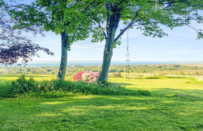 "Nella" - 1.2km from the sea - Foto 17