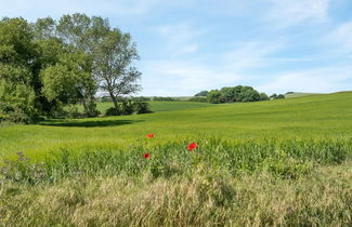 Photo 3 - 3 bedroom House in Knebel with terrace