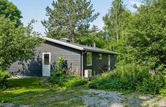 Foto 3 - Casa de 3 quartos em Vejby com terraço