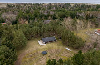 Foto 3 - Haus mit 3 Schlafzimmern in Højslev
