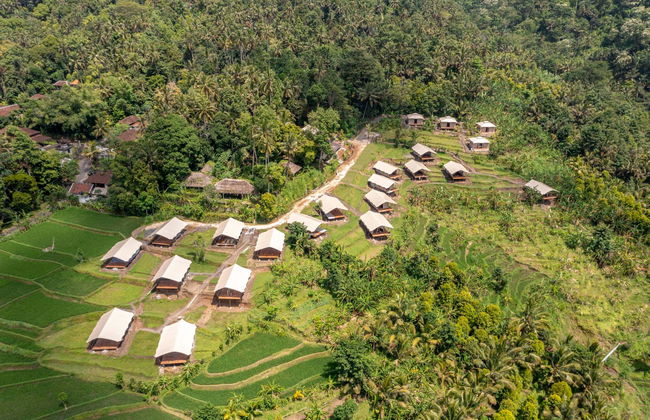 Kaura Bali - Foto 1