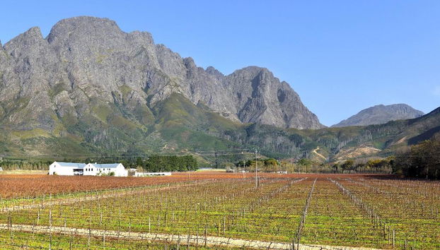 Holden Manz Country House - Foto 3