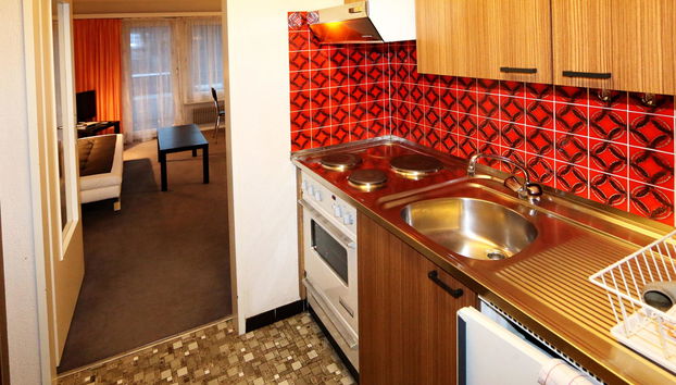 Apartamento de 1 quarto em Saas-Fee com jardim - Foto 5