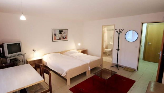Appartement de 1 chambre à Saas-Fee avec jardin - Photo 3