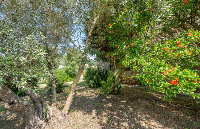 Casa de 3 quartos em Cinigiano com piscina privada e jardim - Foto 44
