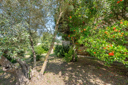 Photo 44 - 2 bedroom House in Cinigiano with private pool and garden