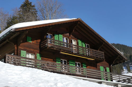 Photo 23 - Maison de 6 chambres à Grindelwald avec jardin