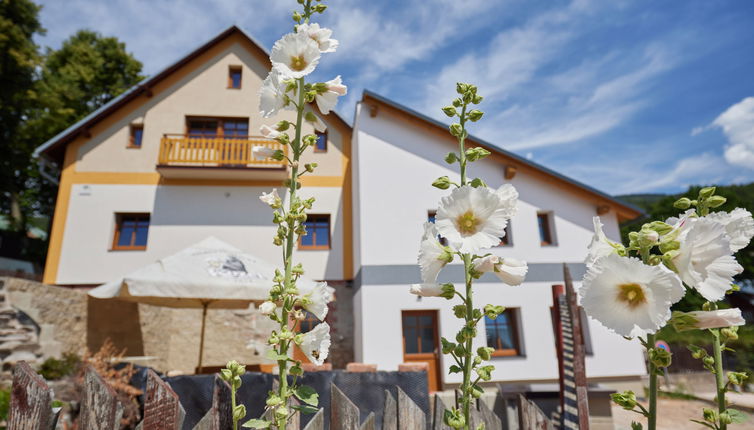 Foto 1 - Casa de 9 habitaciones en Černý Důl con vistas a la montaña