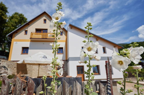 Foto 1 - Haus mit 9 Schlafzimmern in Černý Důl mit garten