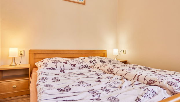 Haus mit 9 Schlafzimmern in Černý Důl mit garten - Foto 5