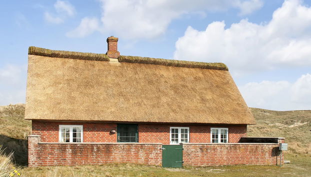 Casa de 3 quartos em Sønderho com terraço - Foto 4
