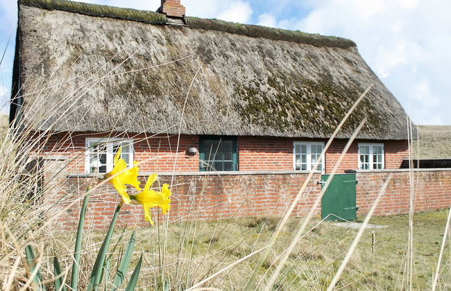 Casa con 3 camere da letto a Sønderho con terrazza - Foto 8