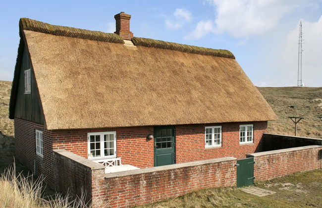 Casa con 3 camere da letto a Sønderho con terrazza - Foto 1