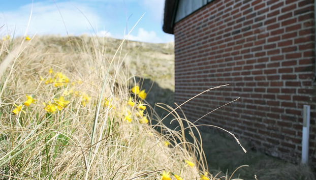 Casa de 3 quartos em Sønderho com terraço - Foto 3