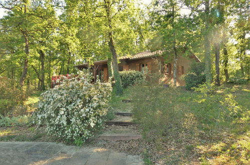 Photo 24 - Maison de 3 chambres à Loupiac avec piscine privée et jardin