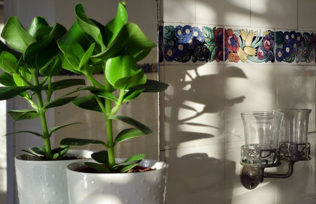Apartamento de 7 quartos em Delémont com piscina - Foto 15