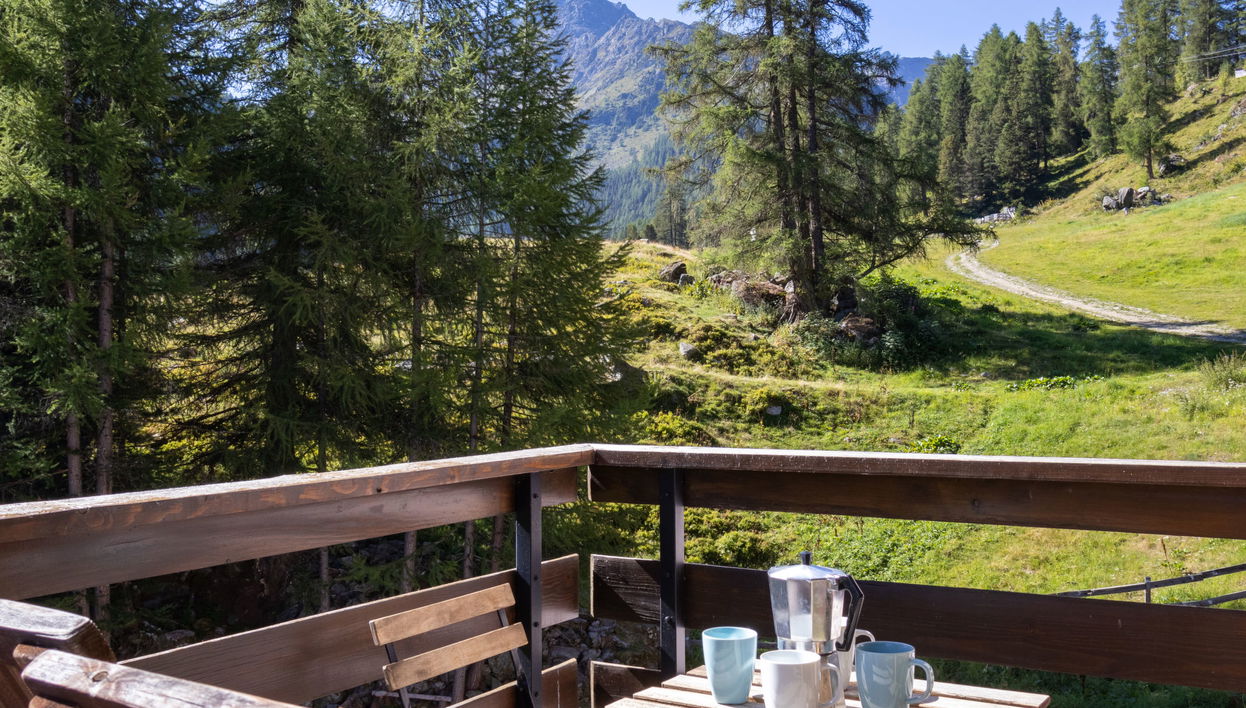 Apartment mit 1 Schlafzimmer in Nendaz mit garten - Foto 1