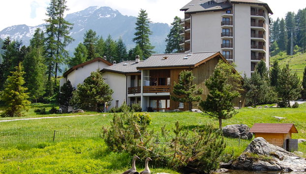 Apartment mit 1 Schlafzimmer in Nendaz mit garten - Foto 4
