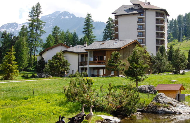 Apartment mit 1 Schlafzimmer in Nendaz mit garten - Foto 4