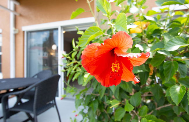 Hapimag Townhomes at Lake Berkley - Foto 32
