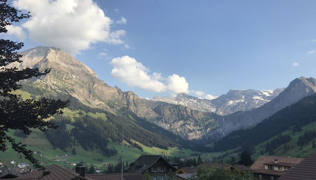 Apartamento de 3 quartos em Adelboden com jardim - Foto 5