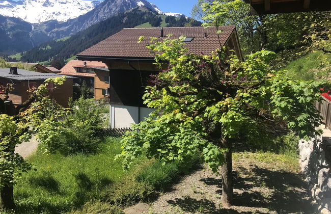Apartamento de 3 quartos em Adelboden com jardim - Foto 3