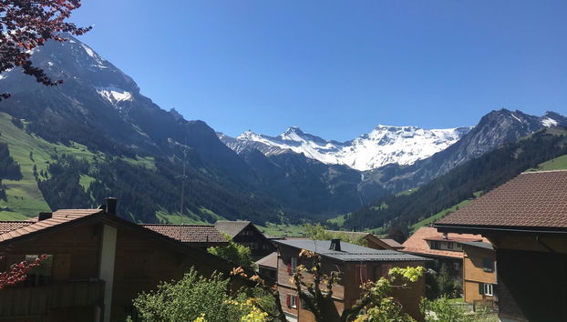 Apartamento de 3 quartos em Adelboden com jardim - Foto 4