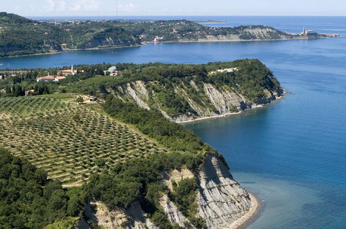 Photo 3 - Appartement en Piran avec piscine et jardin