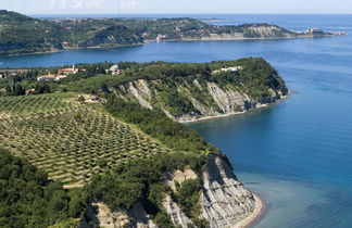 Photo 3 - Appartement en Piran avec piscine et jardin