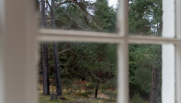Haus mit 3 Schlafzimmern in Aviemore mit garten - Foto 5