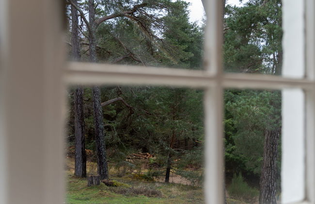 Casa de 3 quartos em Aviemore com jardim - Foto 5