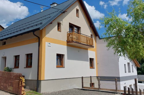 Photo 26 - Maison de 9 chambres à Černý Důl avec jardin