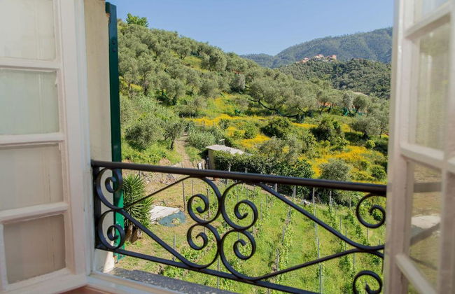 L'Amandola Villa - Agriturismo - Photo 36