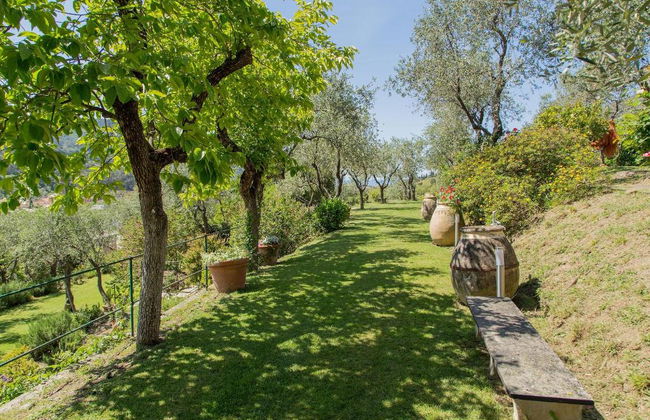 L'Amandola Villa - Agriturismo - Photo 5