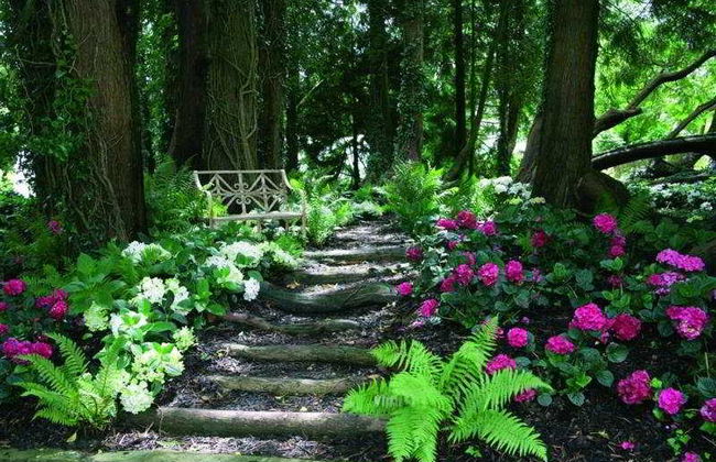 Summer Lodge Country House - Foto 1