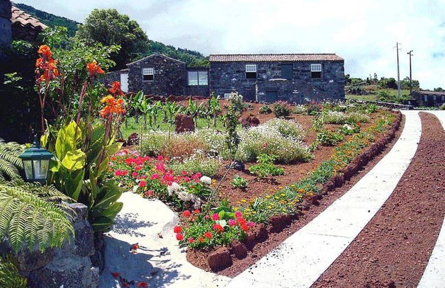 Adegas Do Pico - Foto 9