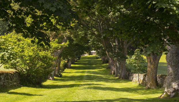 Glenmorangie House - Foto 2