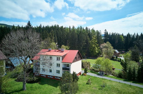 Foto 36 - Appartamento con 3 camere da letto a Harrachov con giardino