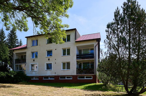 Photo 23 - Appartement de 3 chambres à Harrachov avec jardin