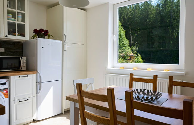 Apartamento de 3 quartos em Harrachov com jardim - Foto 7