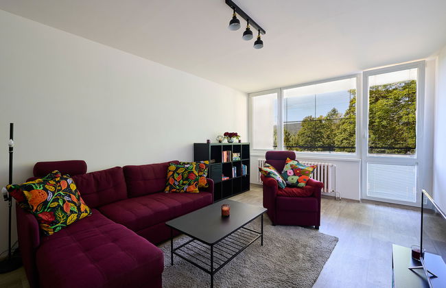 Apartamento de 3 quartos em Harrachov com jardim - Foto 9