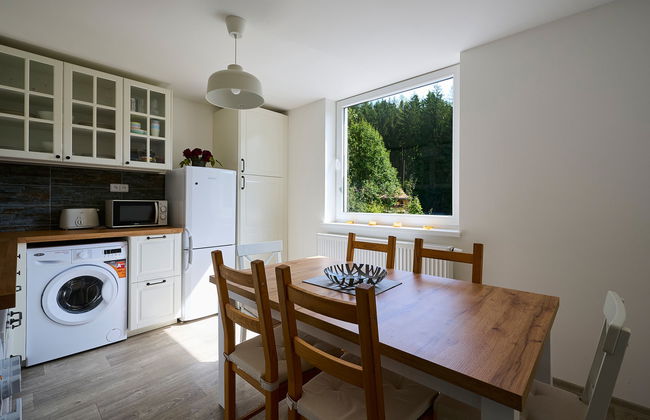 Apartamento de 3 quartos em Harrachov com jardim - Foto 6