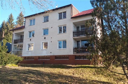 Foto 11 - Apartamento de 3 habitaciones en Harrachov con jardín