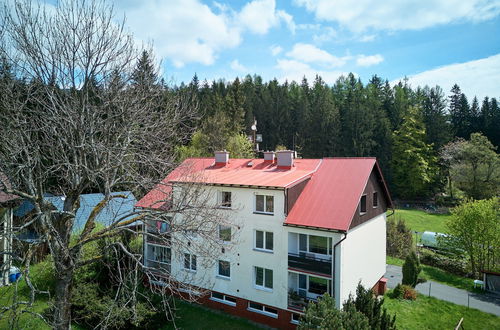 Foto 35 - Appartamento con 3 camere da letto a Harrachov con giardino
