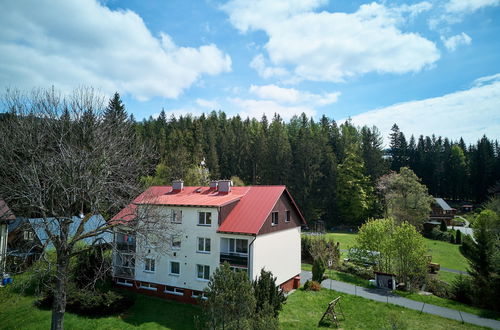 Foto 34 - Appartamento con 3 camere da letto a Harrachov con giardino