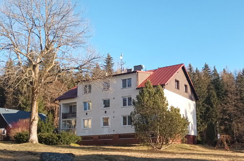 Photo 10 - Appartement de 3 chambres à Harrachov avec jardin