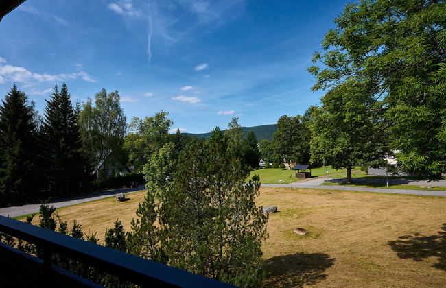 Apartamento de 3 quartos em Harrachov com jardim - Foto 27