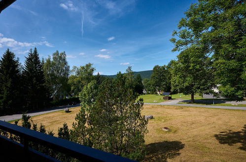 Photo 25 - Appartement de 3 chambres à Harrachov avec jardin